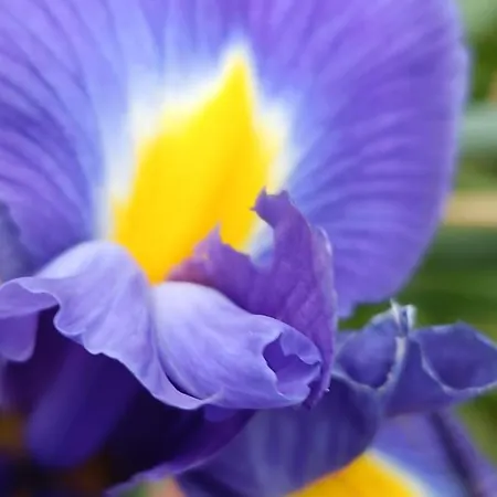 Апартаменты Valle Del Tione