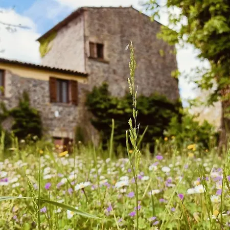 Valle Del Tione Canonica (Via Francigena)
