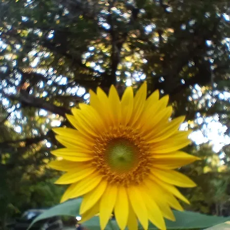 Valle Del Tione Lejlighed Canonica (Via Francigena)