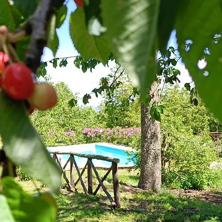 Valle Del Tione * Canonica (Via Francigena)