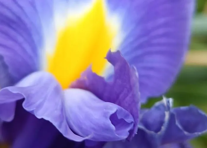 Apartament Valle Del Tione-prenotazioni Singole-