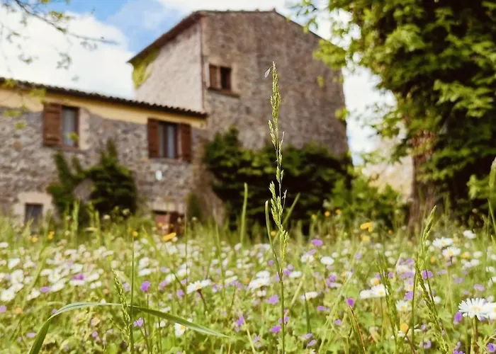 Valle Del Tione-prenotazioni Singole- Canonica (Via Francigena)