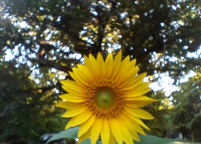 Valle Del Tione-prenotazioni Singole- Apartament Canonica (Via Francigena)