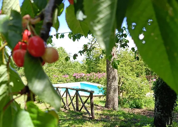 Valle Del Tione-prenotazioni Singole- * Canonica (Via Francigena)