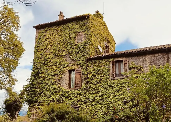 Valle Del Tione-prenotazioni Singole-